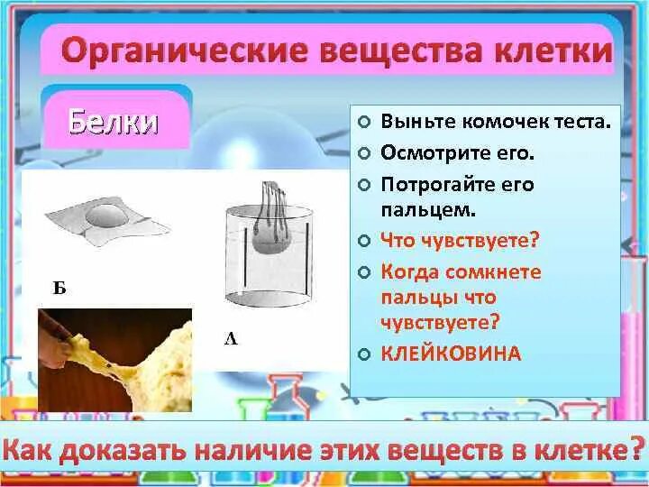 Под оболочкой находится бесцветное вязкое вещество