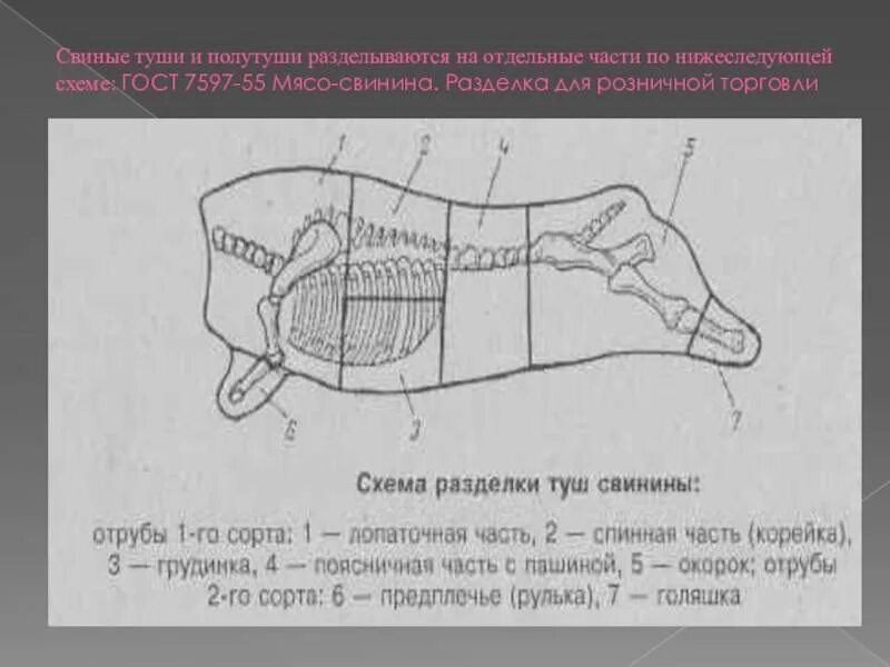 Схема разделки туши свиньи. Схема разруба полутуши свинины. схема разрубки полутуши свиньи. схема сортовой разрубки свиней. схема разрубки туши свинины.