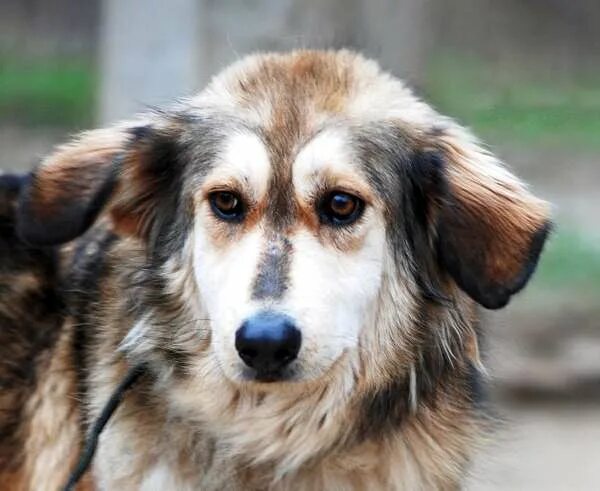 южный город самара. арбат южный город самара. южное измайлово. парк победы тольятти автозаводский район. самарская область город южный 1.