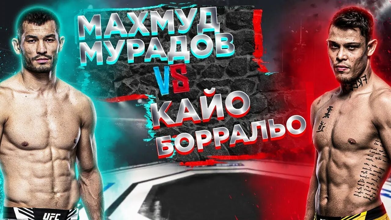 Прямой эфир самандар муродов бой сегодня. Махмуд мурадов. юфс 280 махмуд мурадов. ислам махачев бой 2025. махмуд мурадов кайо борральо.