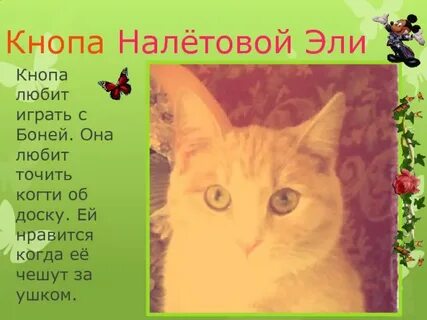 Котенок кнопа и его друзья