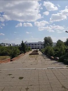 Дворец творчества детей и молодежи воронеж