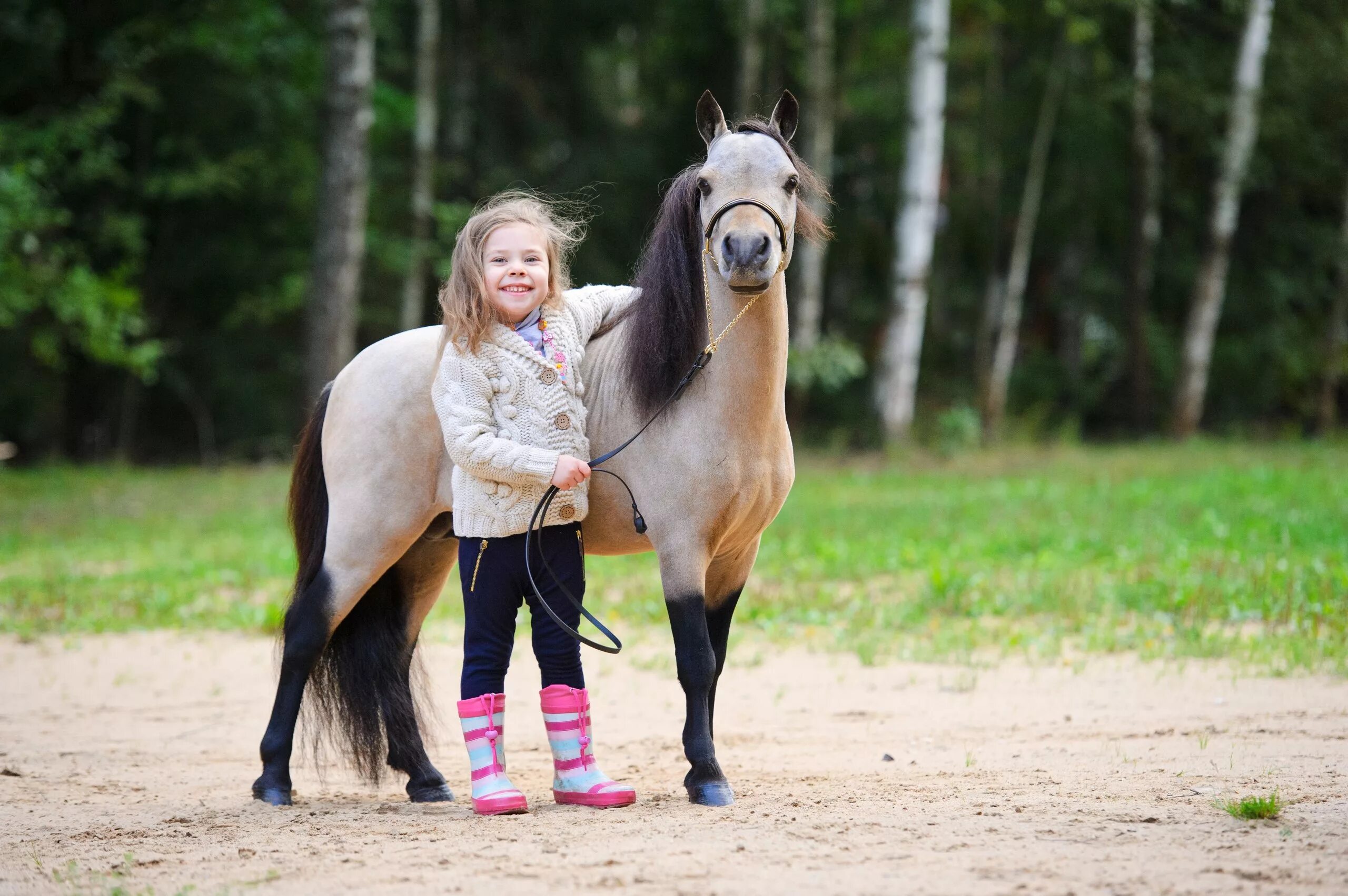 Mini pony