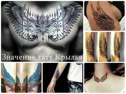 Два крыла значение