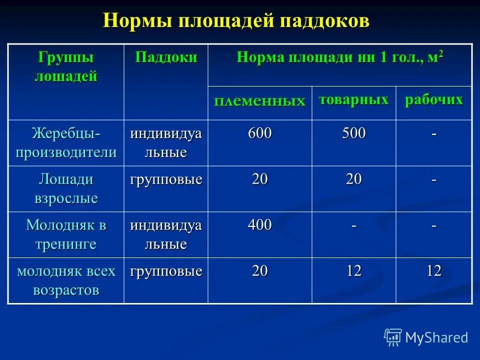 Норма площади на 1 учащегося в школе по санпин. Нормы площадей для размещения служащих в различных странах. Санитарные нормы площади на 1 человека. Норма площади на человека в офисе. Нормы площадей для размещения служащих.