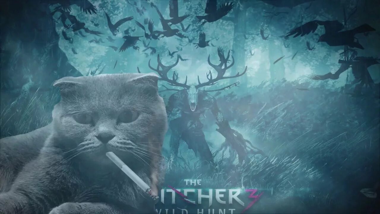 Ведьмак 3 в поле спят мотыльки. Ведьмак мотылек песня. Ведьмак 3 в поле спят мотыльки. Ведьмак 3 в поле спят мотыльки. Ведьмак 3 в поле спят мотыльки.