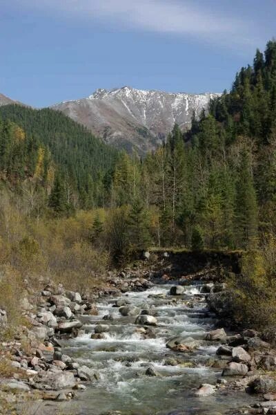 Тункинские альпы. (2)тункинские гольцы. Тункинские гольцы шумак. Великолепие тункинских гольцов очаровывает. Тункинский национальный парк горы саяны.
