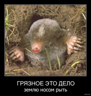 Носом землю