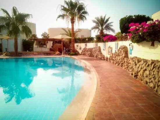 Reef Oasis Beach Resort 5* (Отель Риф Оазис Бич Ресорт) - Фотографии (Шарм Эль Ш