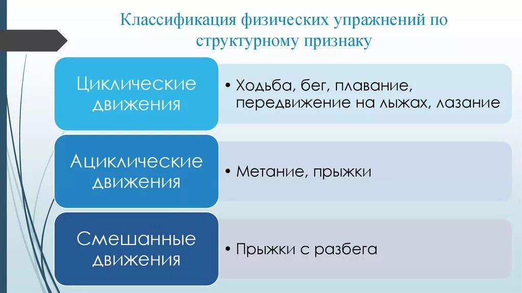 Этапы физического обучения. Классификация физических упражнений. Классификация физических упражне¬ний». Классификация физ упражнений. Классификация физических упражнений по признаку структуры движения.