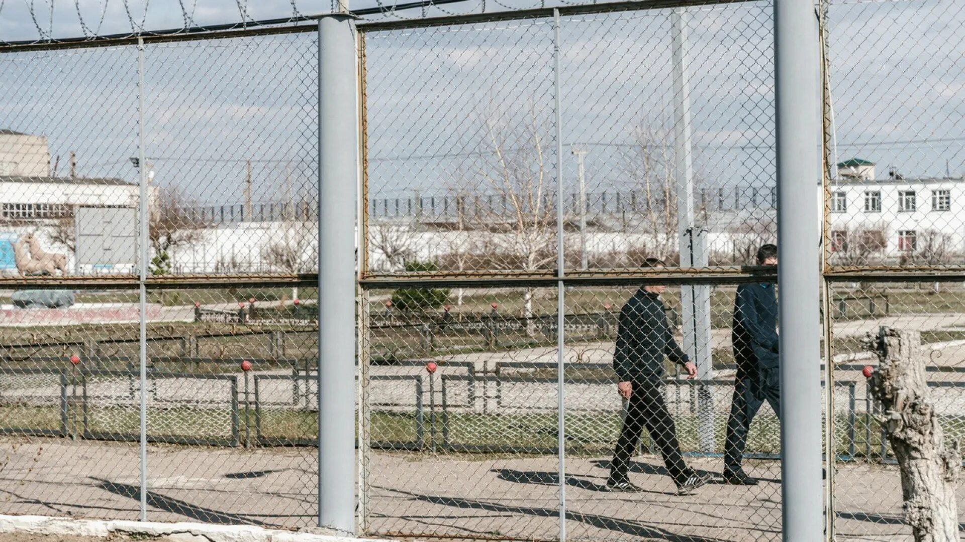 Амнистия рк. Амнистия рк