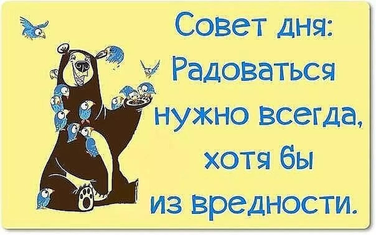 Всегда совет. Смешные пожелания на каждый день. Пожелания хорошего дня с юмором. Смешные открытки на каждый день. Позитивные советы.