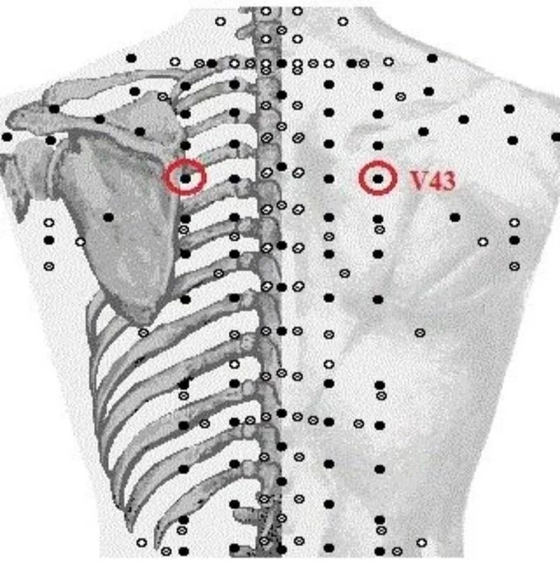 Точечный массаж спины. Гао Хуан точка. V43 точка акупунктуры. Гао-Хуан v.43. Точка на теле Гао-Хуан v.43.