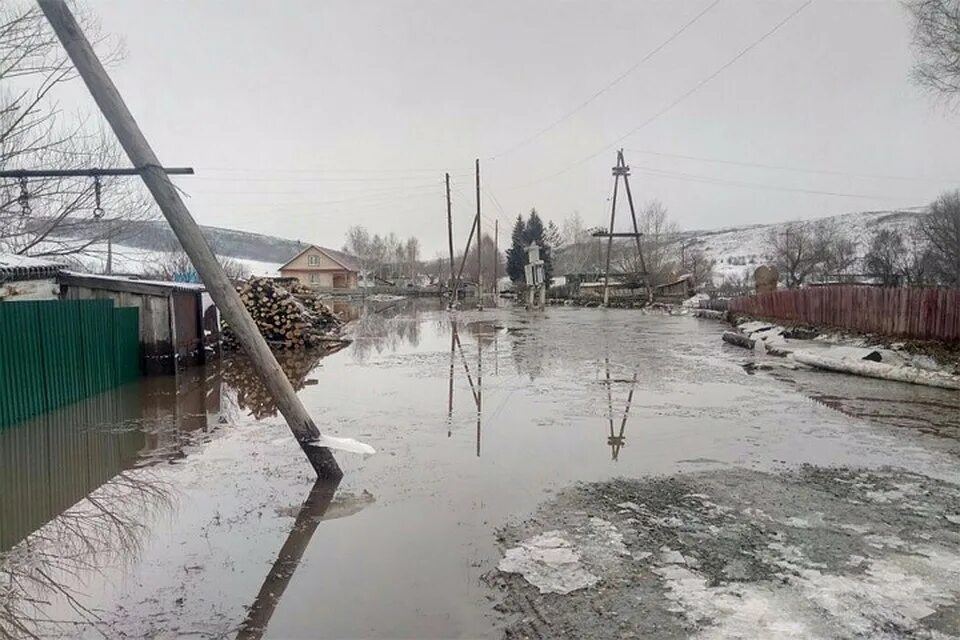 Паводок в алтайском крае сегодня. Краснощеково Алтайский край потоп 2014. Краснощеково Алтайский край потоп. Наводнение в Алтайском крае 2014. Наводнение на Алтае 2014.