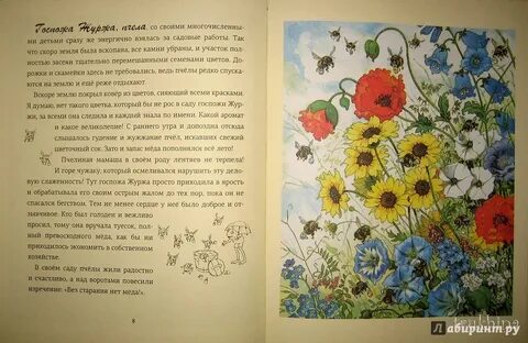 2 лета книга