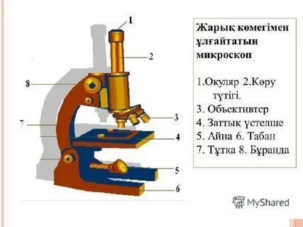 Порно фильмдер көреді