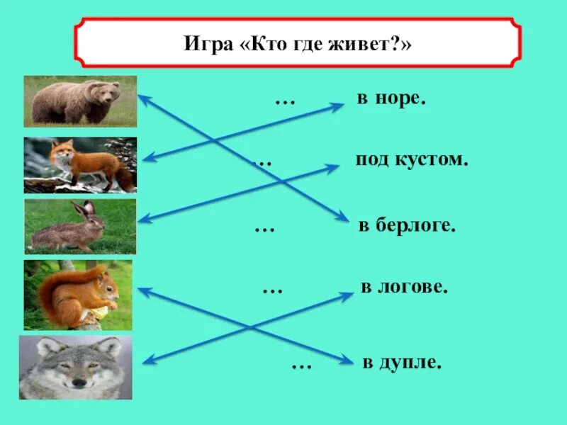 Кто живет в норе. Кто живёт в норе из животных. Кто где живет. Какое животное живёт в логове.