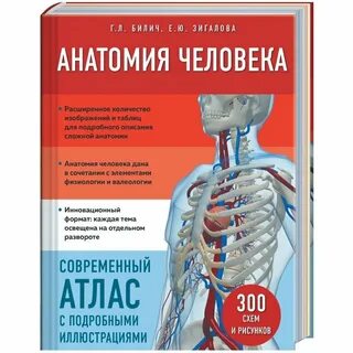 Атлас анатомия человека том 1 билич