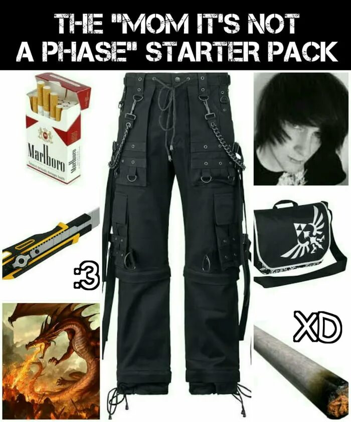 It s not a phase. It&#039;s not a phase mom. it was not a phase. mom its not a phase cat. it s not a phase meme.