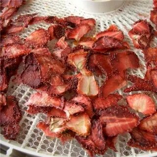 Сушеная сушка