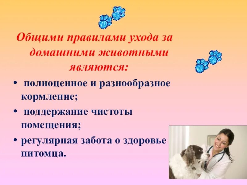Содержание забота