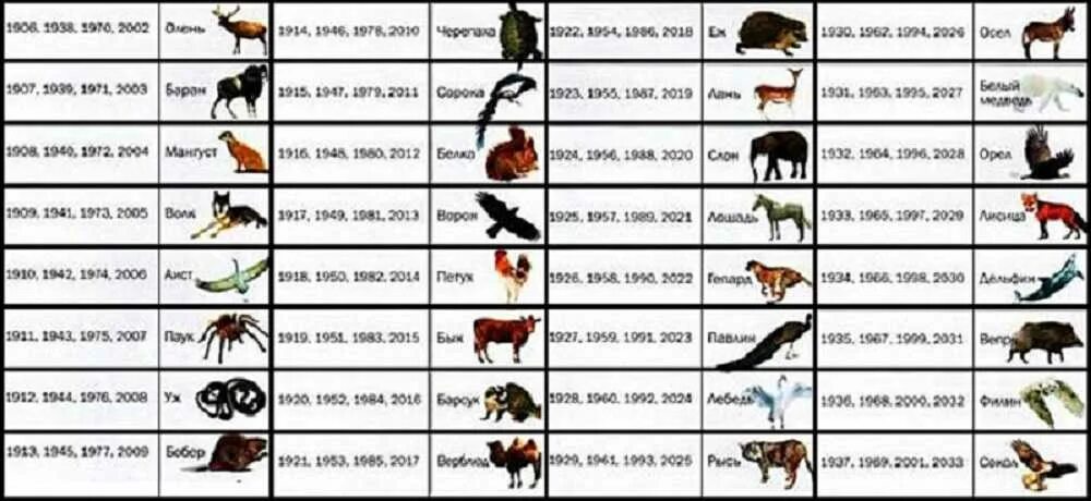 Какого зверя 2015. Тотемное животное знаков зодиака. Тотемные животные по знакам зодиака и дате. Тотемное животное 1996 года рождения. 1997 Тотемное животное.