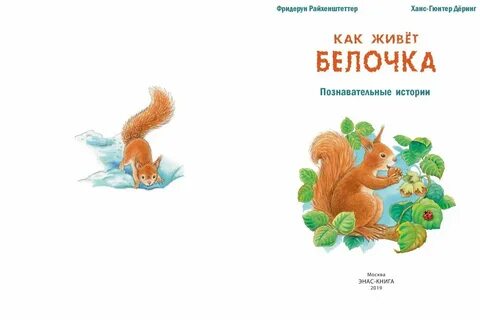 Папа для бельчонка вернуть бывшую читать