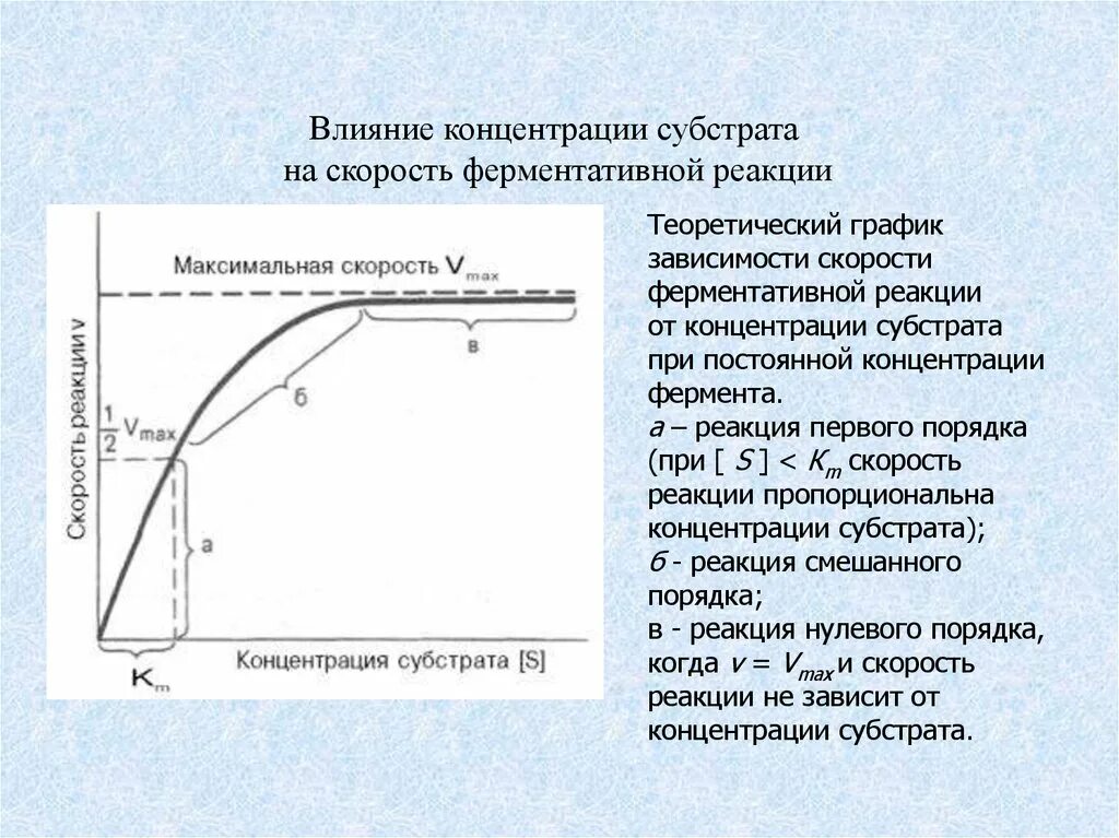 График зависимости скорости реакции от концентрации субстрата. График скорости ферментативной реакции от концентрации субстрата. Влияние субстрата на скорость ферментативной реакции. График зависимости ферментативной реакции от концентрации субстрата.