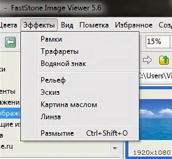 2. Fast stoune image viewer. Faststone image viewer (глаз). Faststone image viewer. Fast stone viewer.
