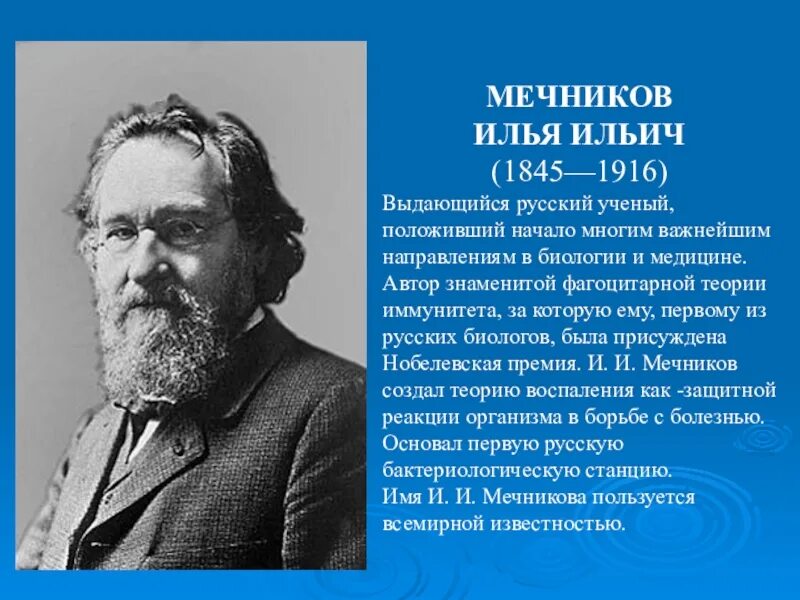 Биограф норта 7 букв. Мечников и.и. (1845-1916).