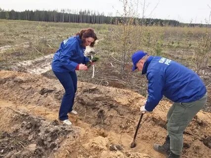 Нижняя посадка
