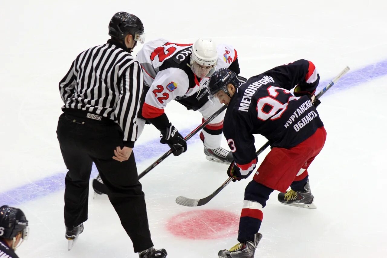 сайт хк тамбов