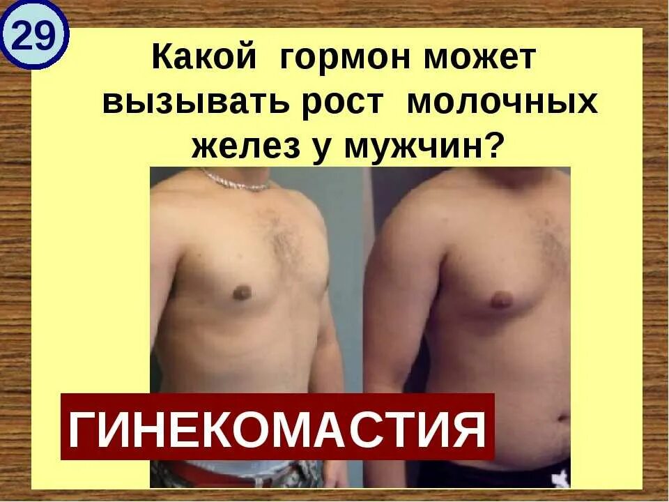 Рост желез. Гормоны для роста грудных желез у мужчин. грудь женщин и гормоны. женские гормоны для мужчин грудь. гормон для роста молочных желез.