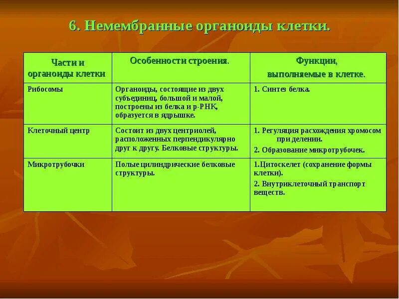 Клеточный центр особенности строения и функции таблица. Строение и функции немембранных органоидов таблица. строение и функции немембранных органоидов клетки кратко. немембранные органоиды клетки строение и функции. функции немембранных органоидов клетки.