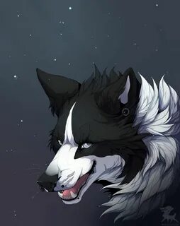 Jaydan wolf smells