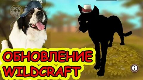 Вилд клаб