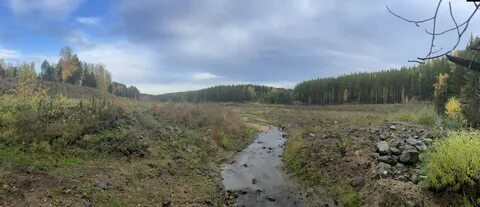 Погода стойба в красноярском крае партизанском районе
