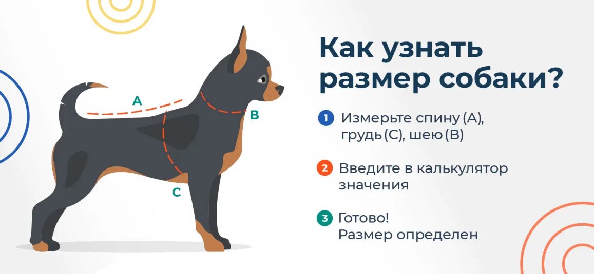 Как измерить собаку для одежды. Как измерить собаку. как померить собаку для одежды. как мерить собаку для одежды. rukka для собак размерная сетка.