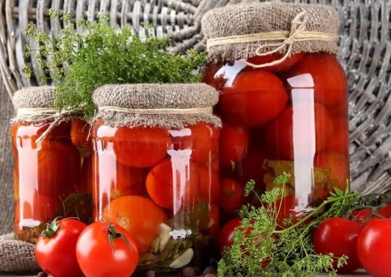 Сорта томатов для консервирования. Томаты для консервирования лучшие сорта. Сорта помидор для засолки. Лучший сорт томатов для консервирования. Помидоры гибридные низкорослые сорта.