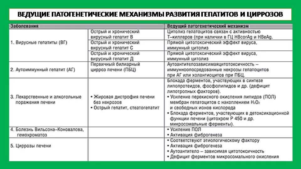 Токсический лекарственный гепатит дифференциальный диагноз. Хронический вирусный гепатит с дифференциальная диагностика. Клинические проявления цирроза печени таблица. Хронический гепатит и цирроз печени.