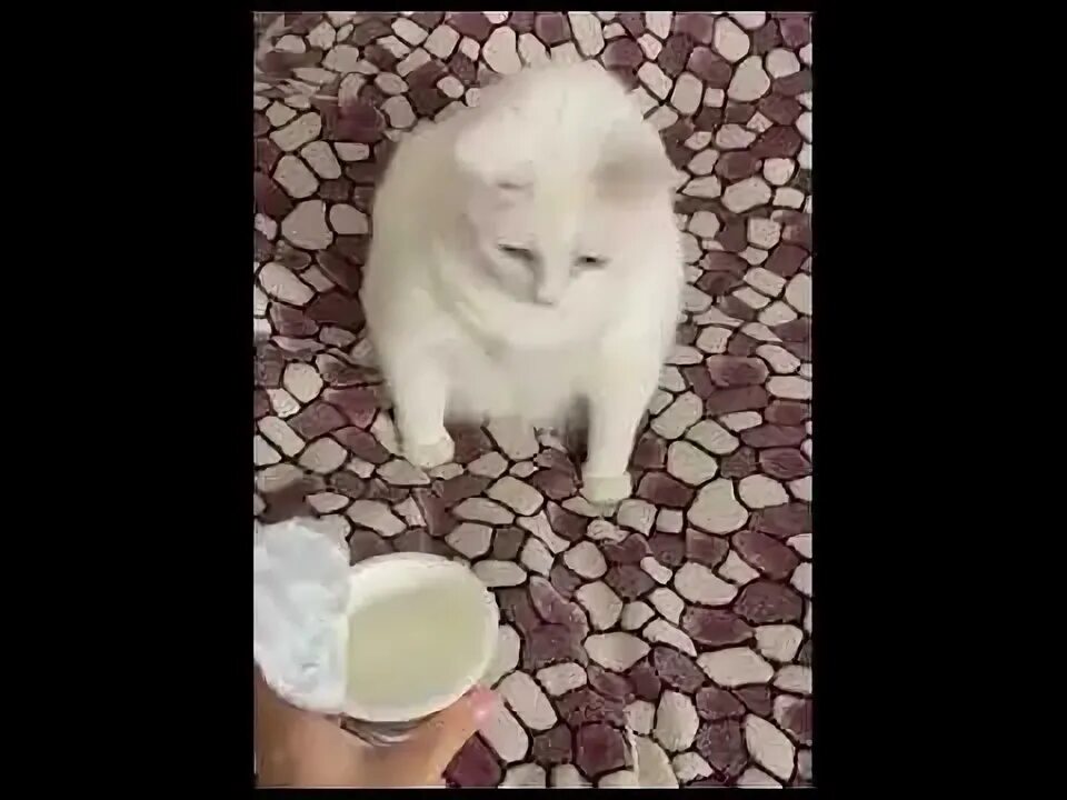 Тошнит от огурцов. Тошнит от огурцов