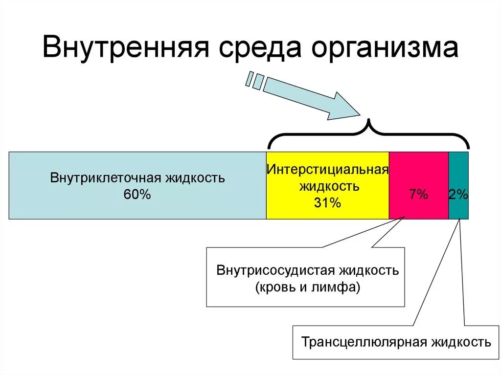 Жидкостные среды организма. Внутренняя среда организма. Внутренняя среда. Внешняя и внутренняя среда организма.