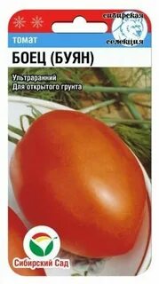 Томат боец характеристика и описание сорта фото
