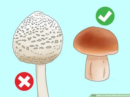 What should people do to avoid eating poisonous mushrooms? 