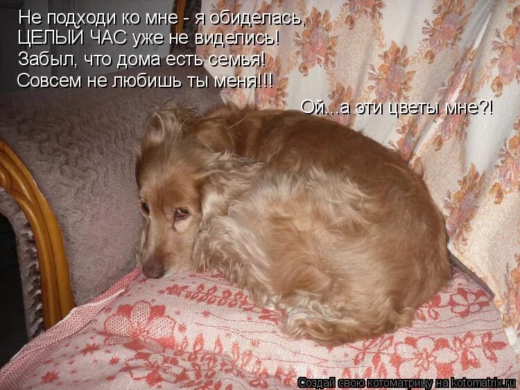 Текст рассуждение про ласточку. Местоимения определите их синтаксическую. Надо юмор. Почему твоя футболка сухая и совсем не пахнет. Я не обиделась мем.