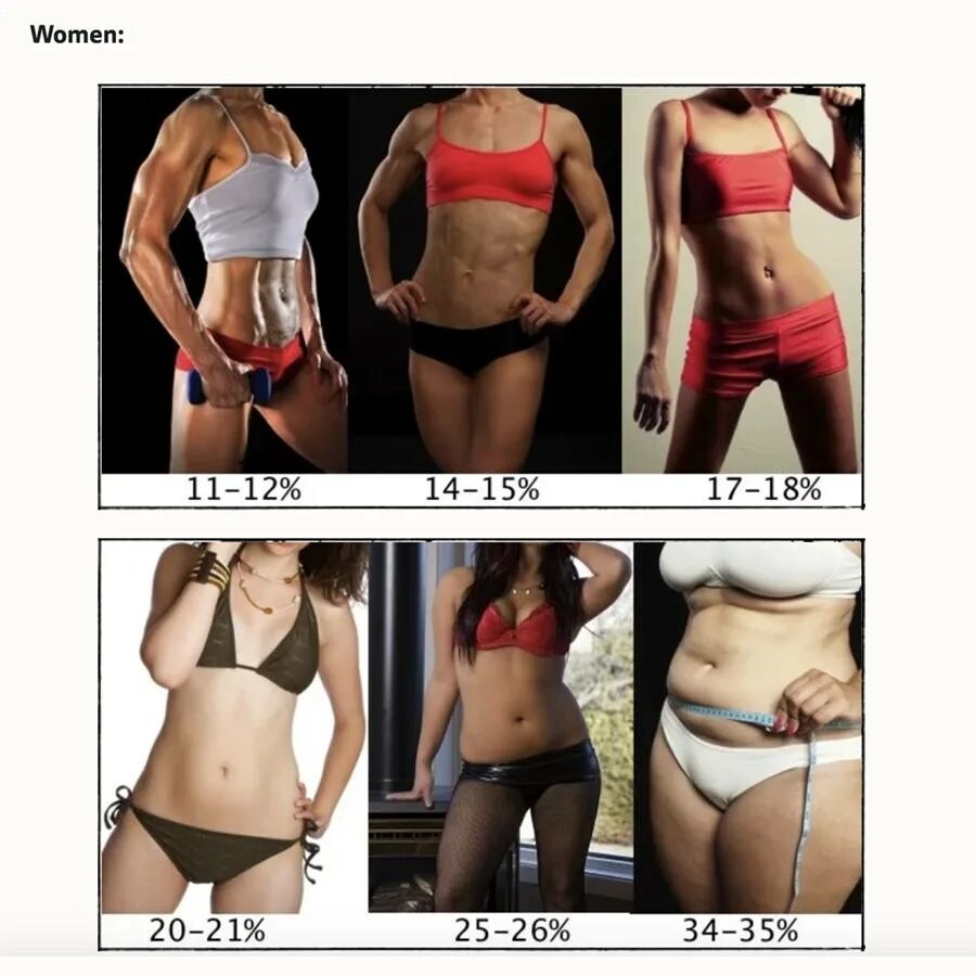 % жира в организме. Процент жира воргнаизме. Процент жира у женщин. Процент жира. Процент жира.