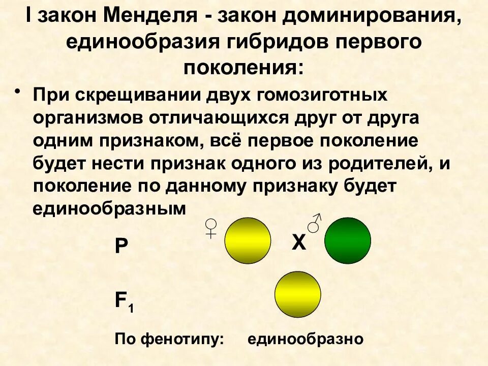 Гаметы образуемые гомозиготными особями