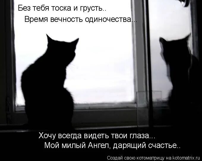 День без грусти. Одинокий кот. Грусть печаль тоска. Грустно и одиноко. Одиночество кот.