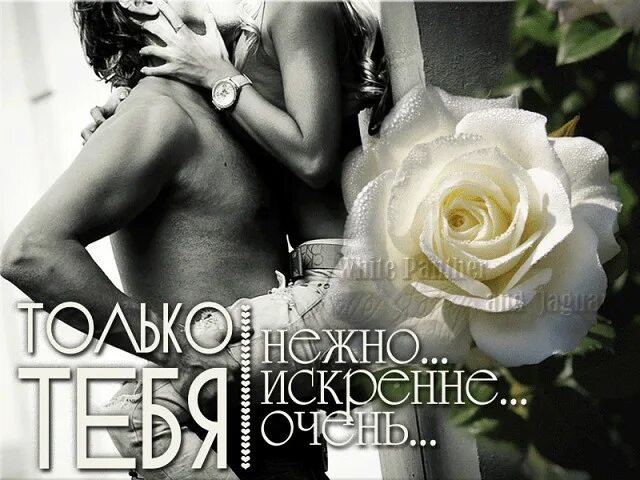 Любимой и единственной. Моей единственной и любимой. Открытки самому желанному и любимому мужчине. Самому нежному картинки