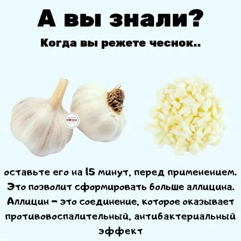 Можно ли чеснок при гв. Аллиин и аллицин в чесноке. чеснок для похудения. вещество в чесноке аллицин. аллицин содержится в:.